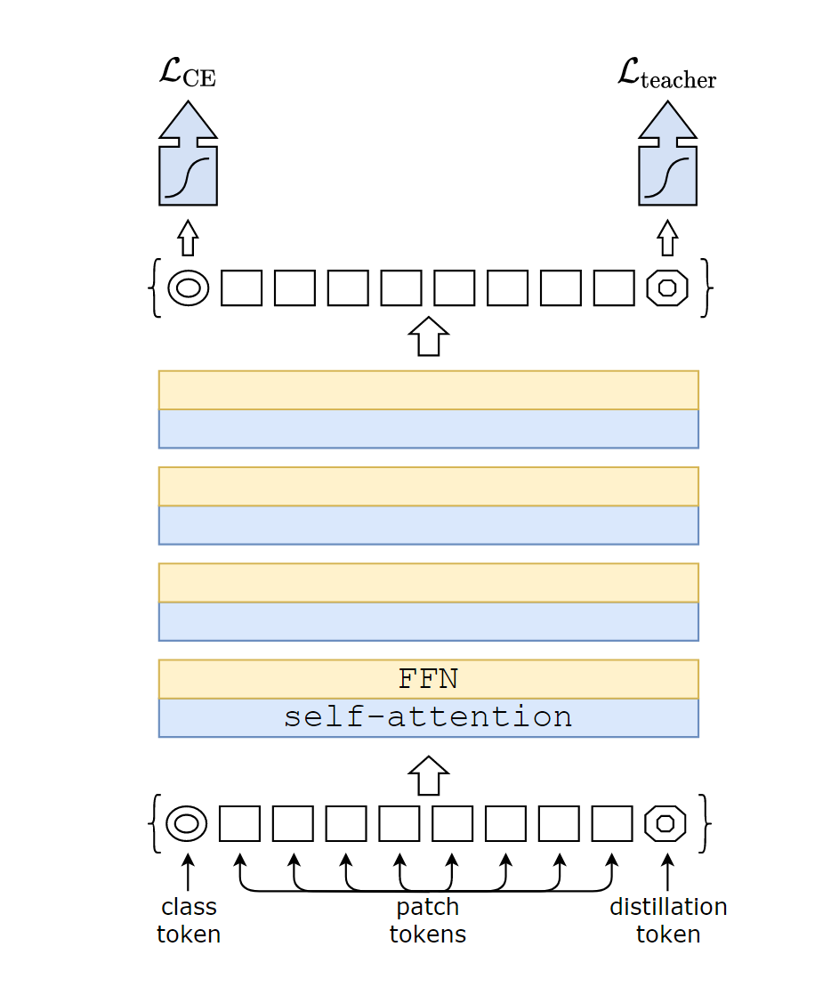 Distillation token